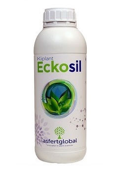 Eckosil Asfertglobal: O Silício biodisponível para controlo do stress abiótico