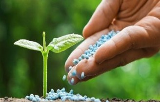 Aprovado novo Código de Boas Práticas Agrícolas 