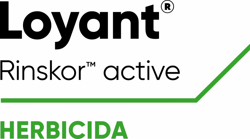 Loyant - o novo herbicida para a cultura do arroz obtém registo definitivo