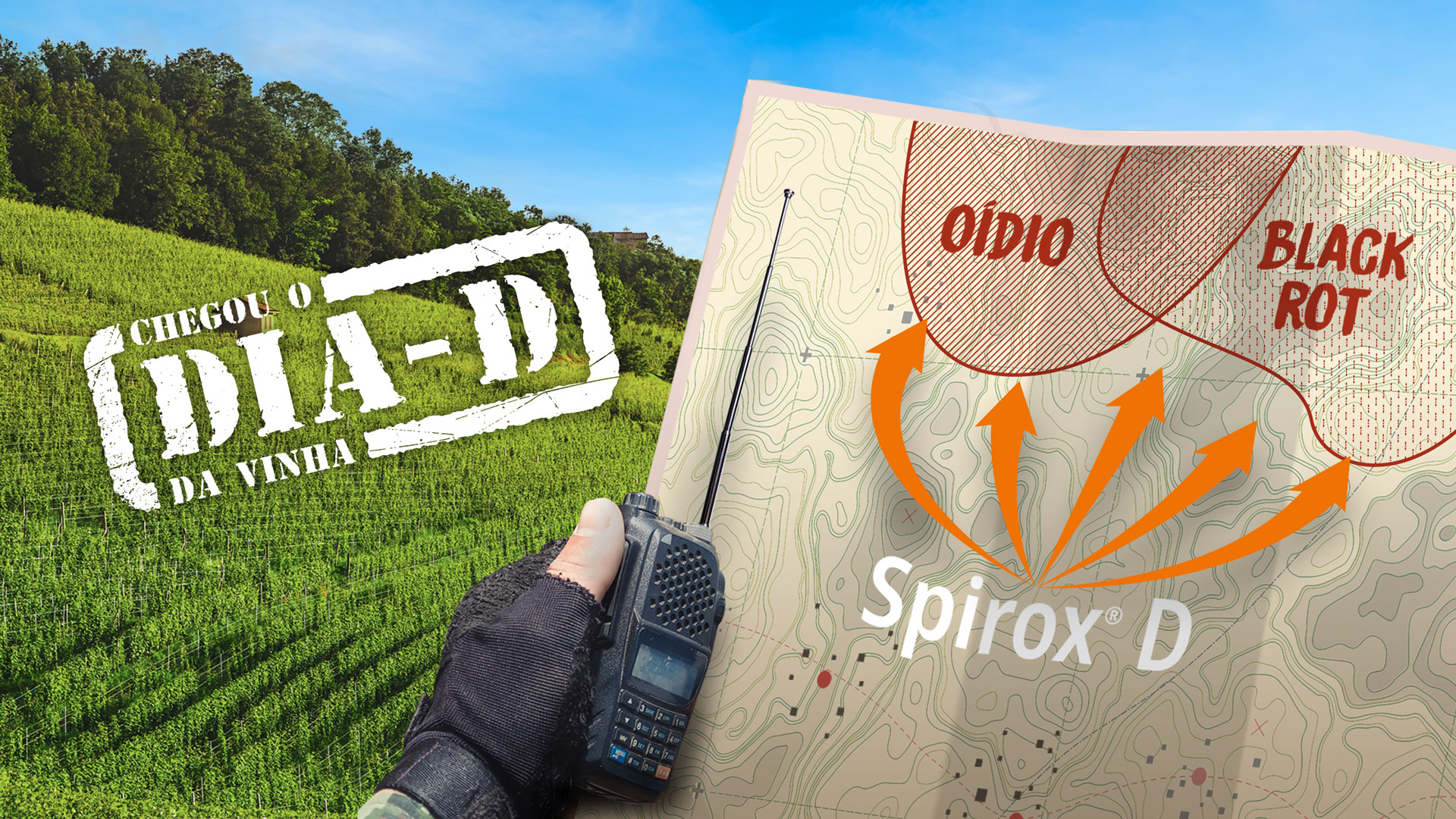 UPL lança Spirox® D – novo fungicida para controlo do oídio e black rot da videira