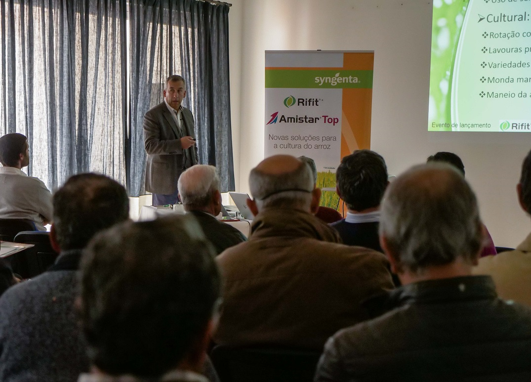 Syngenta apresenta soluções sustentáveis para proteção da cultura do arroz