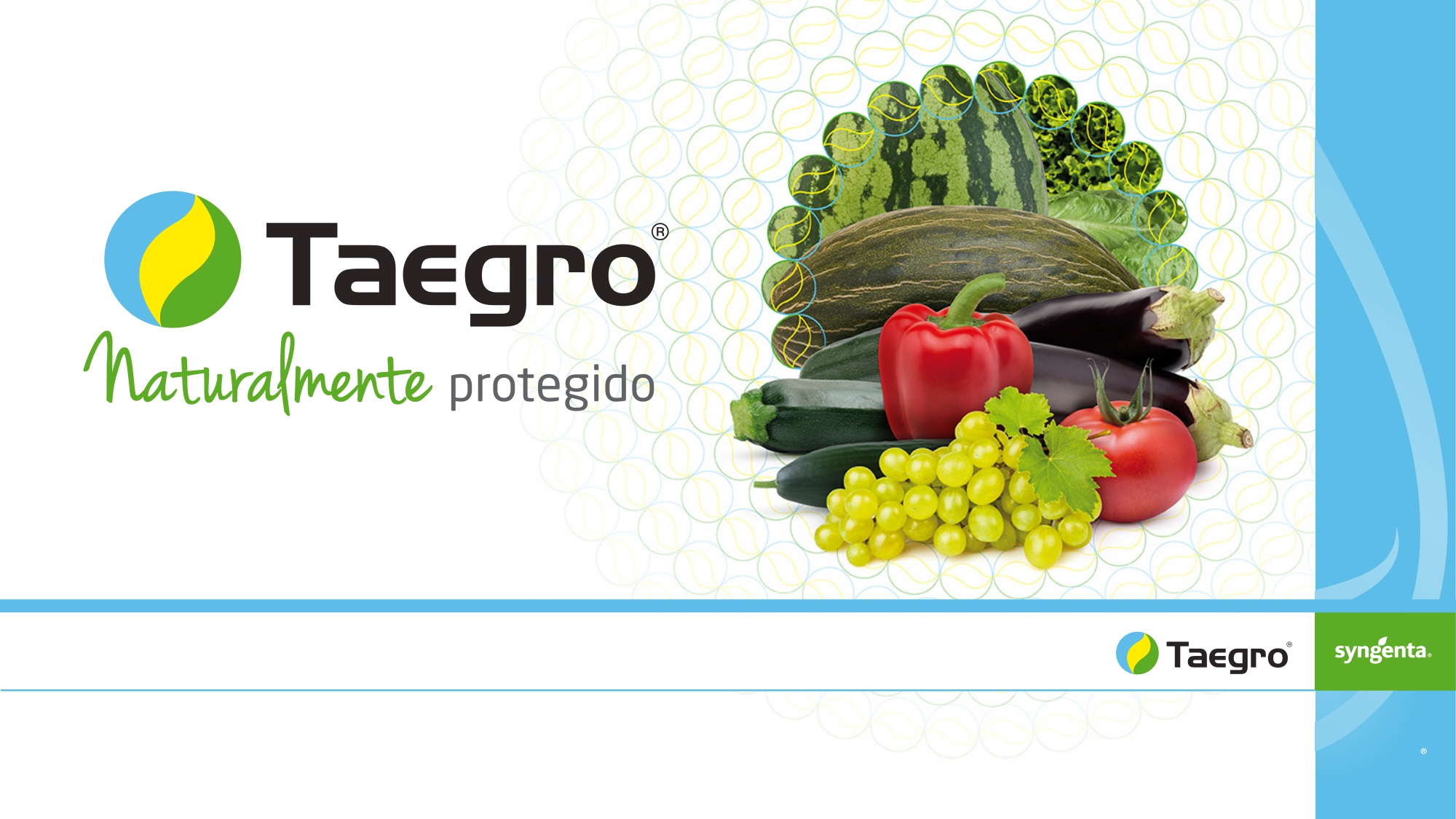Syngenta apresenta Taegro o novo biofungicida para vinha e hortícolas