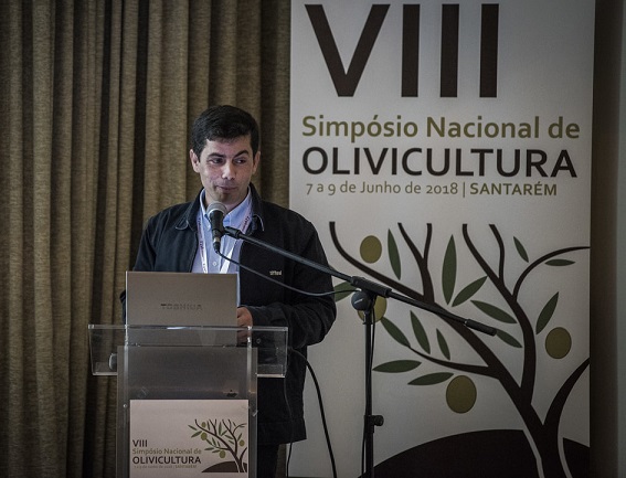VIII Simpósio Nacional de Olivicultura reuniu 140 investigadores e técnicos