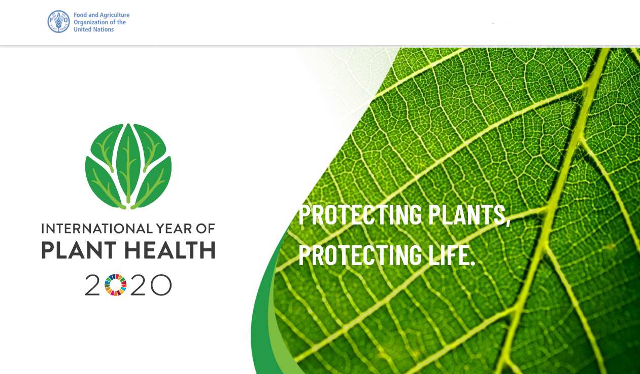 2020 Ano Internacional da Fitossanidade