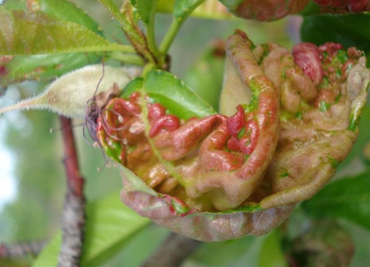 Circular Nº 1/2018 da Estação de Avisos de Entre Douro e Minho