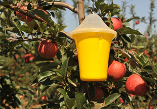 Protecção integrada