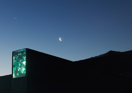 Sementes portuguesas expedidas para o Svalbard Global Seed Vault