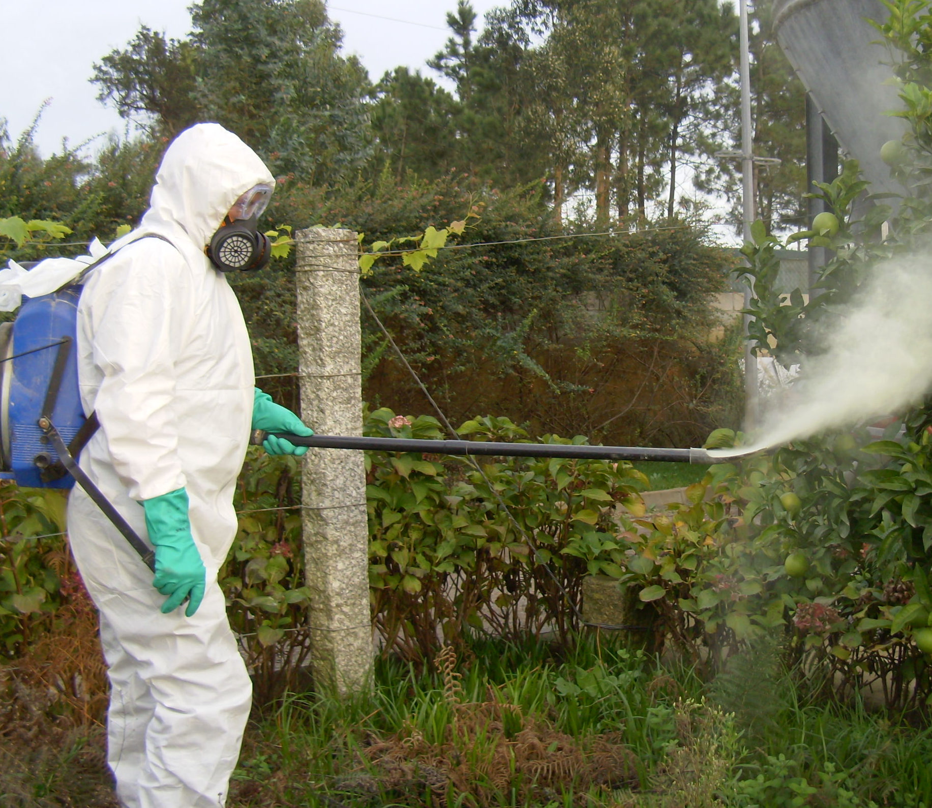 DGAV: Lista atualizada de autorizações de emergência (Junho de 2020)