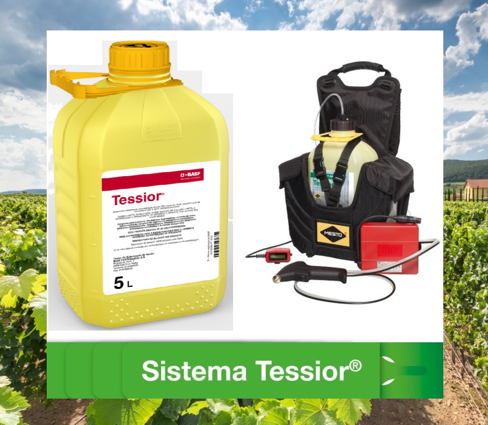 Sistema Tessior®: a solução BASF Portugal para combater as doenças do lenho da videira (DLV)